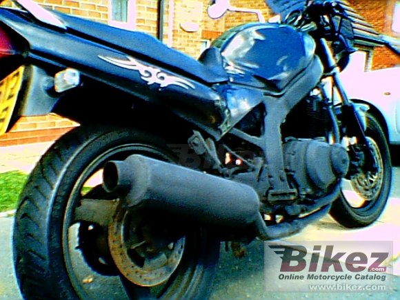 1998 Suzuki GS 500 photo